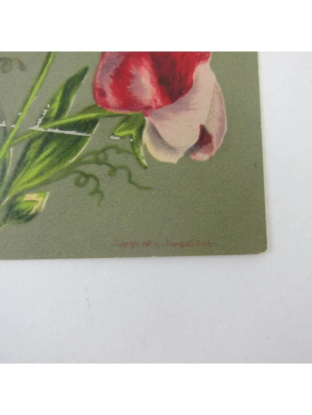 Victorian Greeting Card Proverbs Child Green Red & Pink Flowers Antique 1881